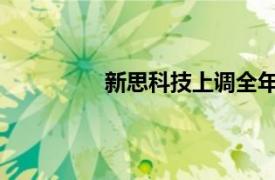 新思科技上调全年调整后每股收益预期