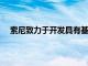 索尼致力于开发具有基本功能和设计的低成本智能手机