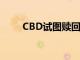 CBD试图赎回扩展给Abraaj的贷款