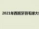 2021年西班牙羽毛球大师赛将于周二在西班牙韦尔瓦打响