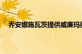 乔安娜施瓦茨提供威廉玛丽法学院的年度乔治威斯讲座