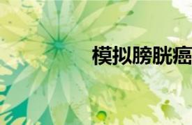 模拟膀胱癌治疗的新方法