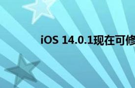 iOS 14.0.1现在可修复默认浏览器设置错误