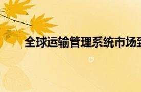 全球运输管理系统市场到2030年将达到318亿美元