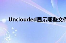 Unclouded显示哪些文件占用了在线存储的最大空间