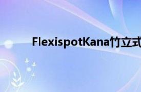 FlexispotKana竹立式办公桌评论坚固安静华丽