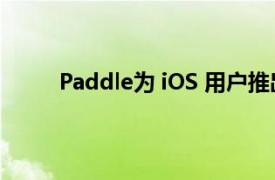 Paddle为 iOS 用户推出首个非 Apple 支付方式