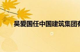 吴爱国任中国建筑集团有限公司党组成员 副总经理