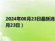 2024年08月23日最新消息：现在银子的价格是多少（2024年8月23日）