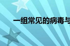 一组常见的病毒与1型糖尿病密切相关