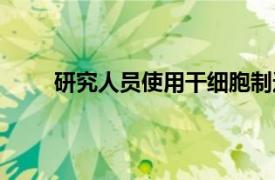 研究人员使用干细胞制造产生胰岛素的胰腺β细胞