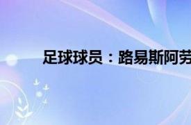 足球球员：路易斯阿劳霍球员信息以及位置表现