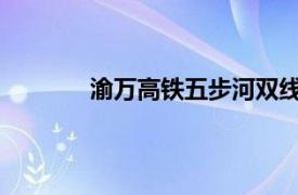 渝万高铁五步河双线特大桥连续梁主墩完工