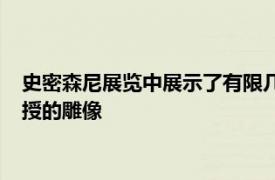 史密森尼展览中展示了有限几何专家德克萨斯大学阿灵顿分校教授的雕像