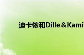 迪卡侬和Dille＆Kamille也可以通过自行车运送