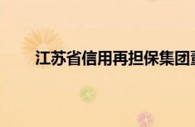 江苏省信用再担保集团董事长瞿为民接受审查调查