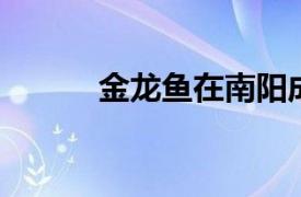 金龙鱼在南阳成立油脂科技公司