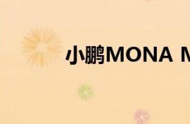 小鹏MONA M03大定破1万台