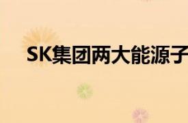 SK集团两大能源子公司11月将正式合并