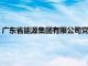 广东省能源集团有限公司党委委员 副总经理姚纪恒接受审查调查