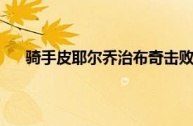 骑手皮耶尔乔治布奇击败其他39对人马组合成功登顶