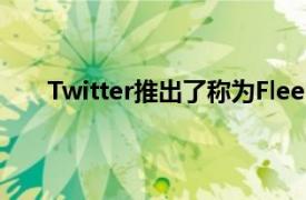 Twitter推出了称为Fleets的24小时类似故事的功能