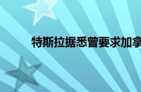 特斯拉据悉曾要求加拿大降低中国产特斯拉关税