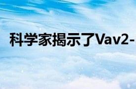 科学家揭示了Vav2-SH2蛋白的双重特异性