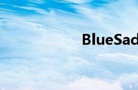 BlueSadie耳机评测