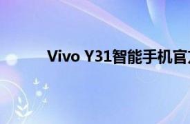 Vivo Y31智能手机官方海报泄露印度发布临近