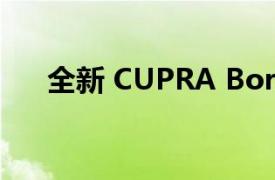 全新 CUPRA Born 引入尖端连接技术