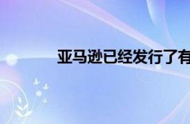 亚马逊已经发行了有史以来规模最大的债券