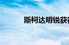 斯柯达明锐获得Sportline版本