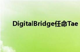 DigitalBridge任命Tae Ahn为亚洲资本形成负责人