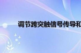 调节跨突触信号传导和突触形成的分子相互作用