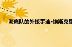 海鹰队的外接手迪·埃斯克里奇在第 2 年有很大的成长空间