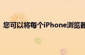 您可以将每个iPhone浏览器设置为iOS 14中的默认浏览器