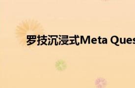 罗技沉浸式Meta Quest 2耳机不要碰到你的耳朵