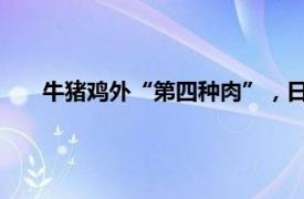 牛猪鸡外“第四种肉”，日本吉野家限量推出鸵鸟肉盖饭