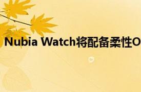 Nubia Watch将配备柔性OLED显示屏 预计于2020年发布