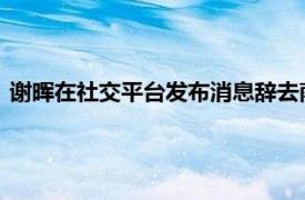 谢晖在社交平台发布消息辞去南通支云足球俱乐部主教练的职务