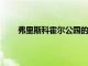 弗里斯科霍尔公园的重建计划于今年晚些时候开始