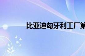 比亚迪匈牙利工厂第700台纯电动大巴下线