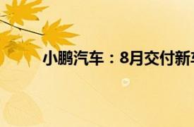 小鹏汽车：8月交付新车14036辆，同比增长3%