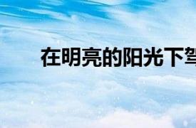 在明亮的阳光下驾驶汽车的 7 个技巧