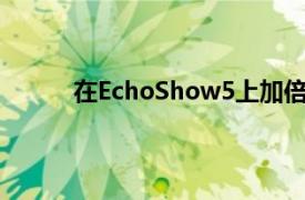 在EchoShow5上加倍收看90美元即可获得2张