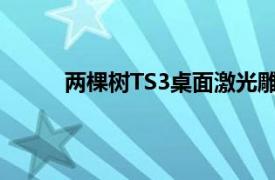 两棵树TS3桌面激光雕刻机和切割机569美元起