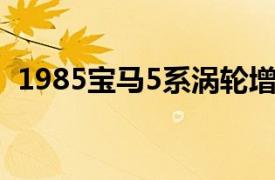 1985宝马5系涡轮增压发动机24K镀金装饰