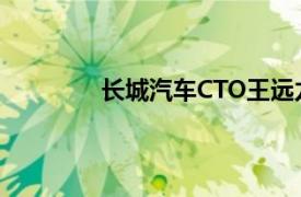 长城汽车CTO王远力将退休，吴会肖接任