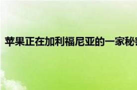 苹果正在加利福尼亚的一家秘密工厂建造自己的微型LED显示屏